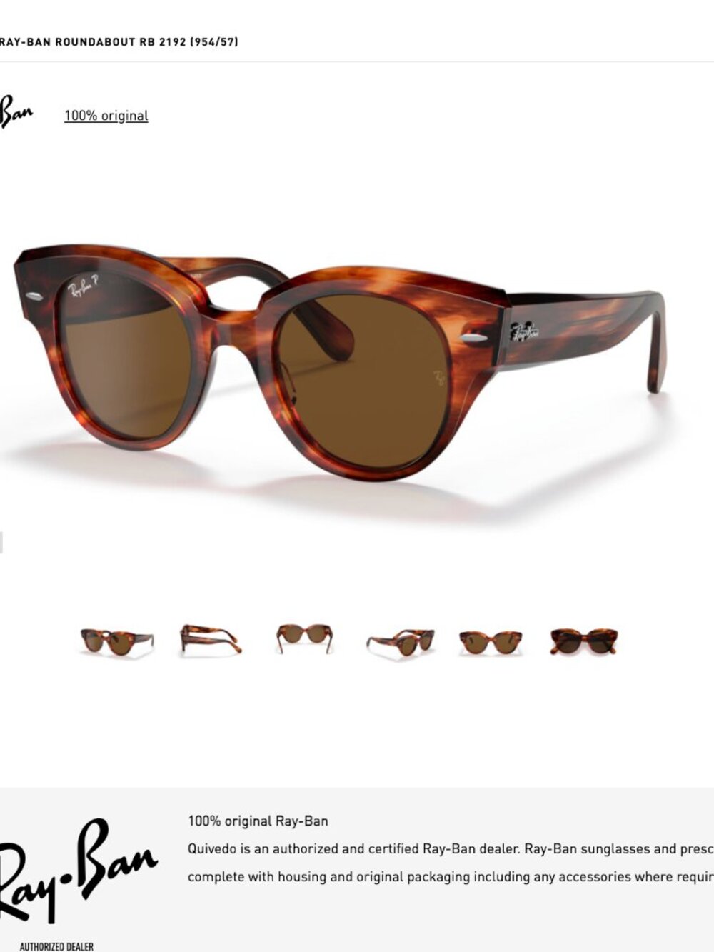 Havana Brown Ray-Ban Roundabout Polarized Sunglasses - Oversized Eyewear Glasses - Picture 7 of 17